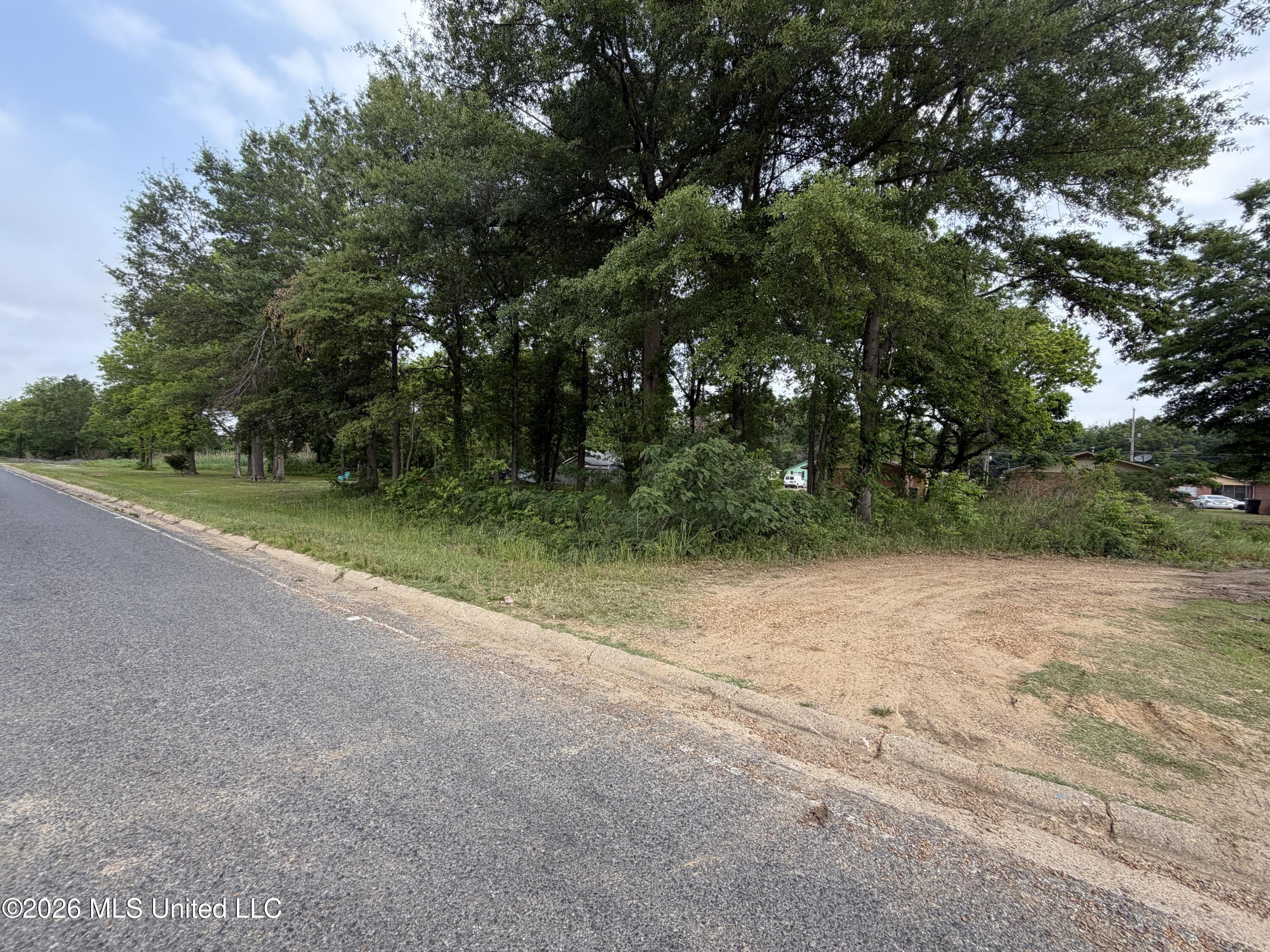 Elzy Avenue