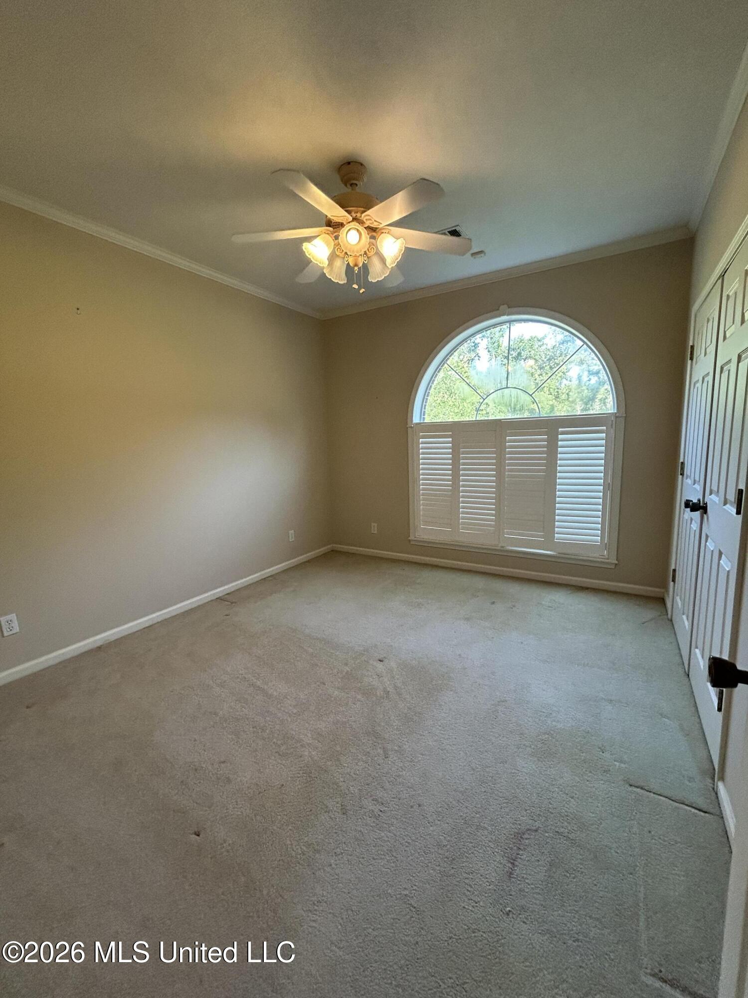 195 County Road 370