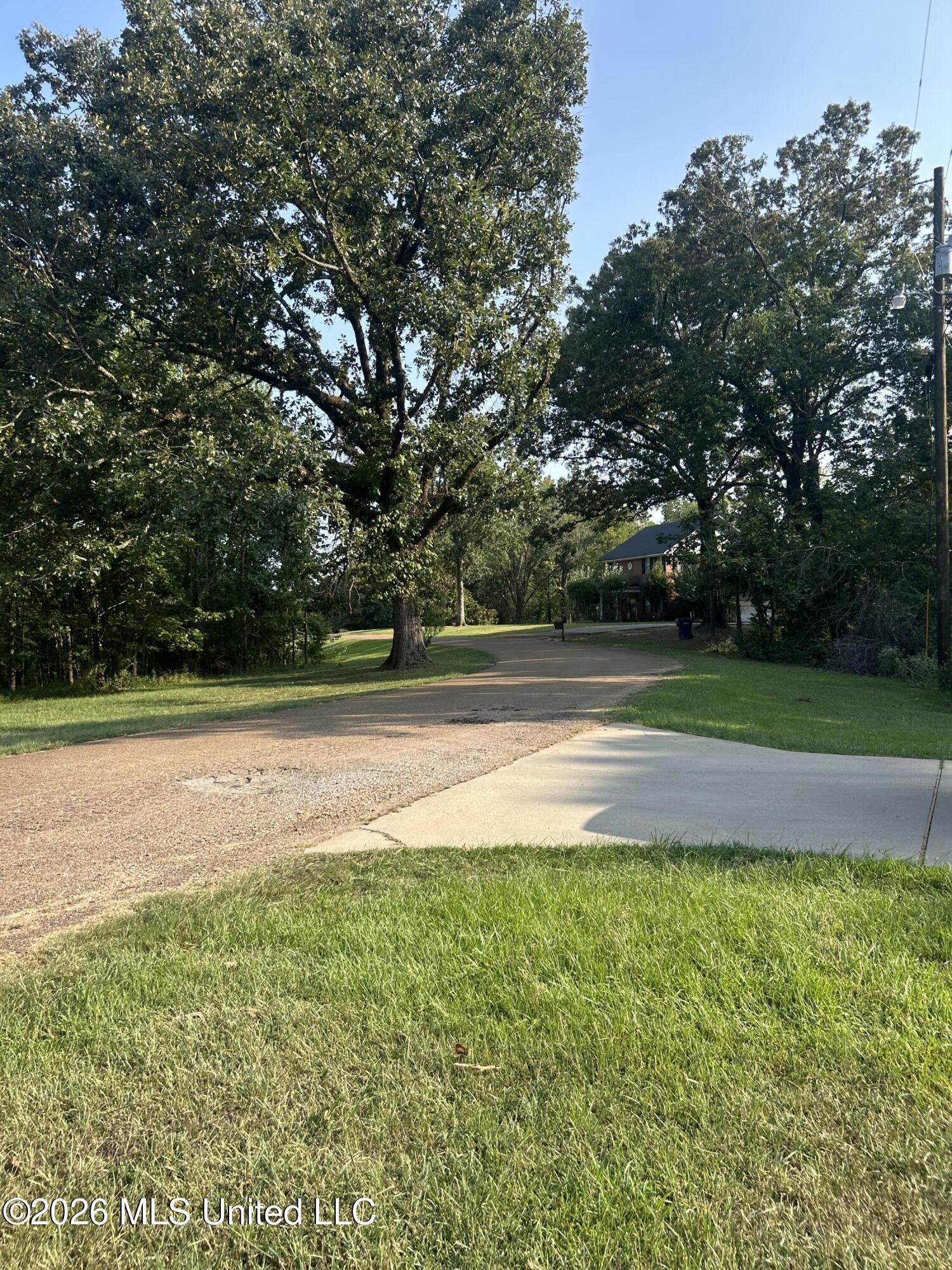 195 County Road 370