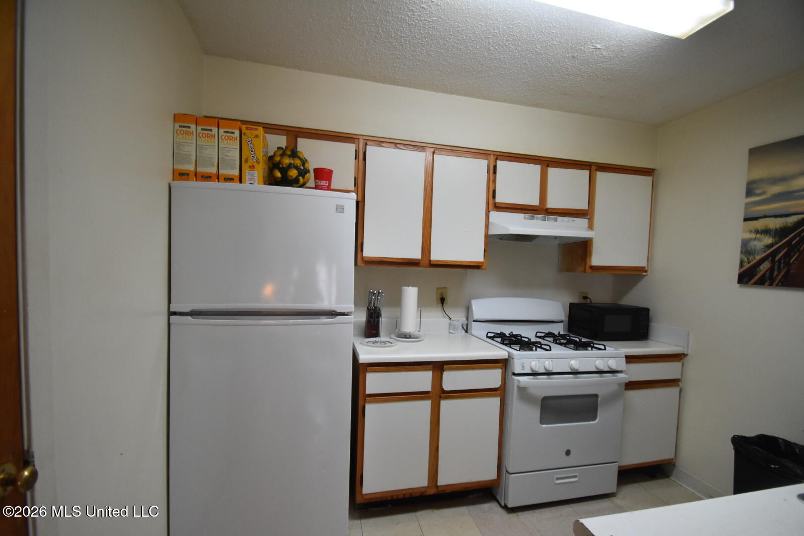 1300 Roosevelt Avenue