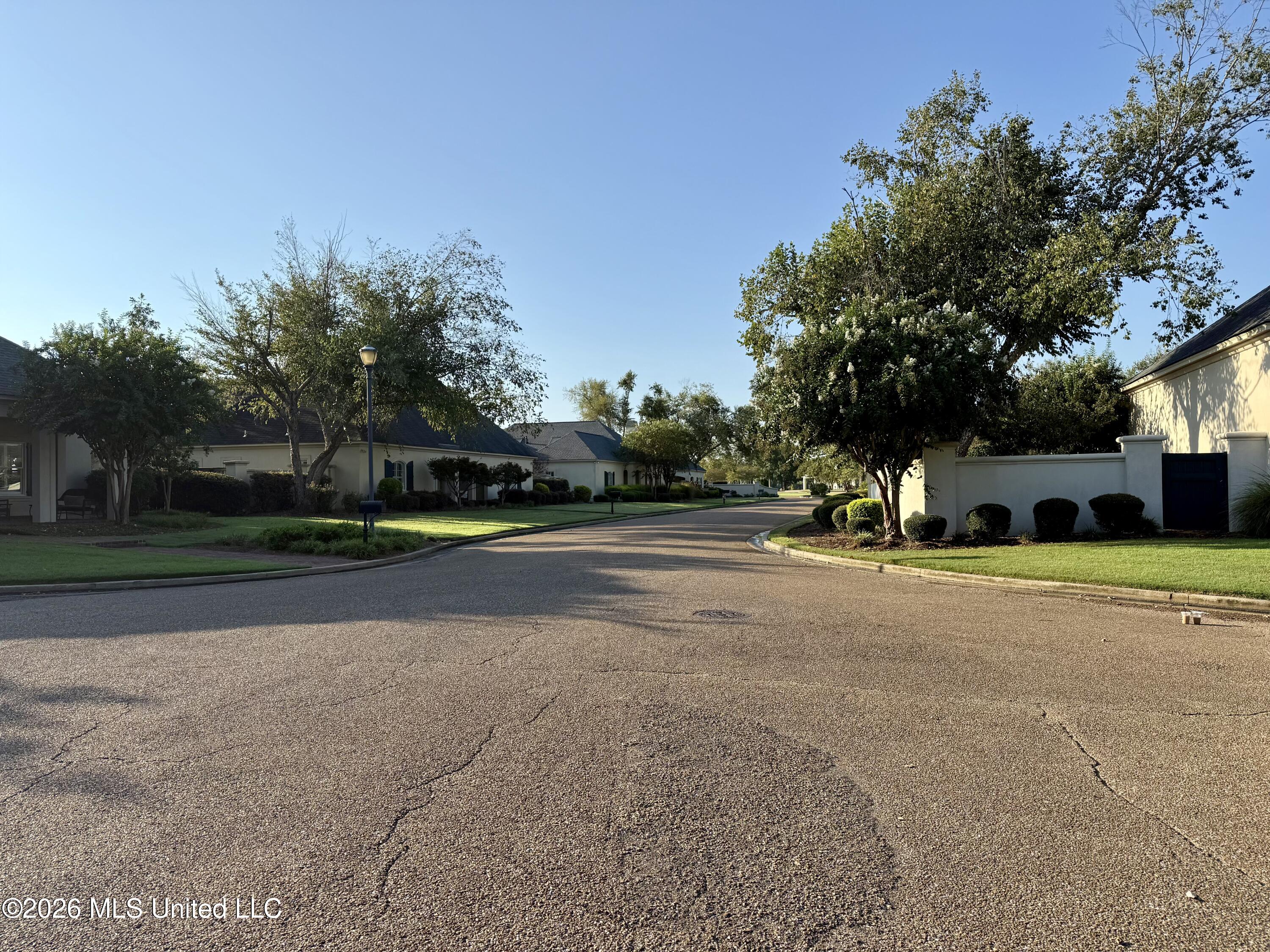 1006 River Birch Cove