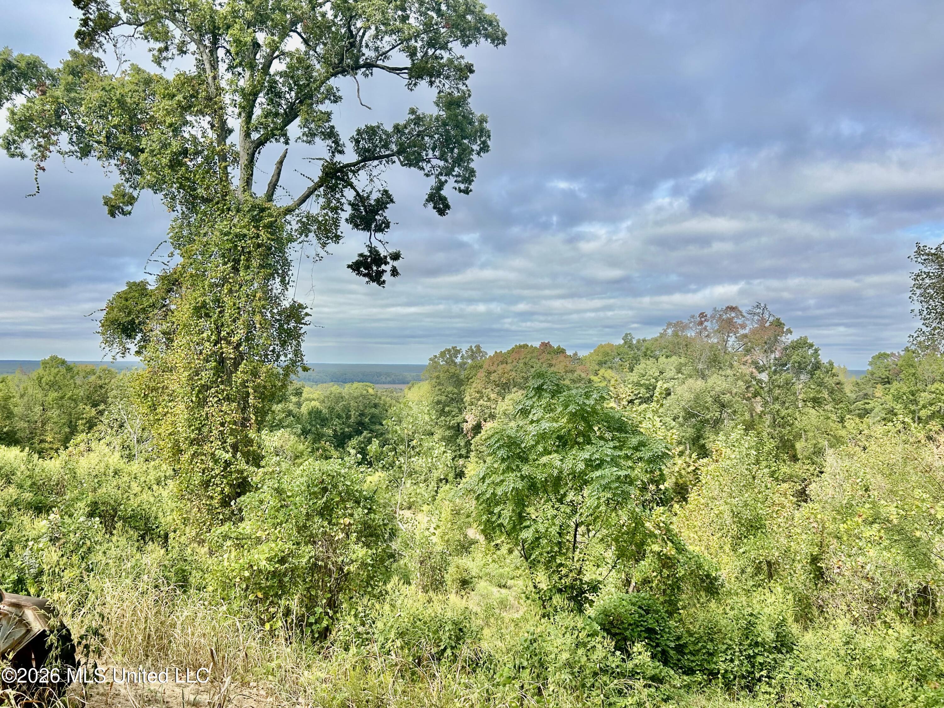 73 County Road 301