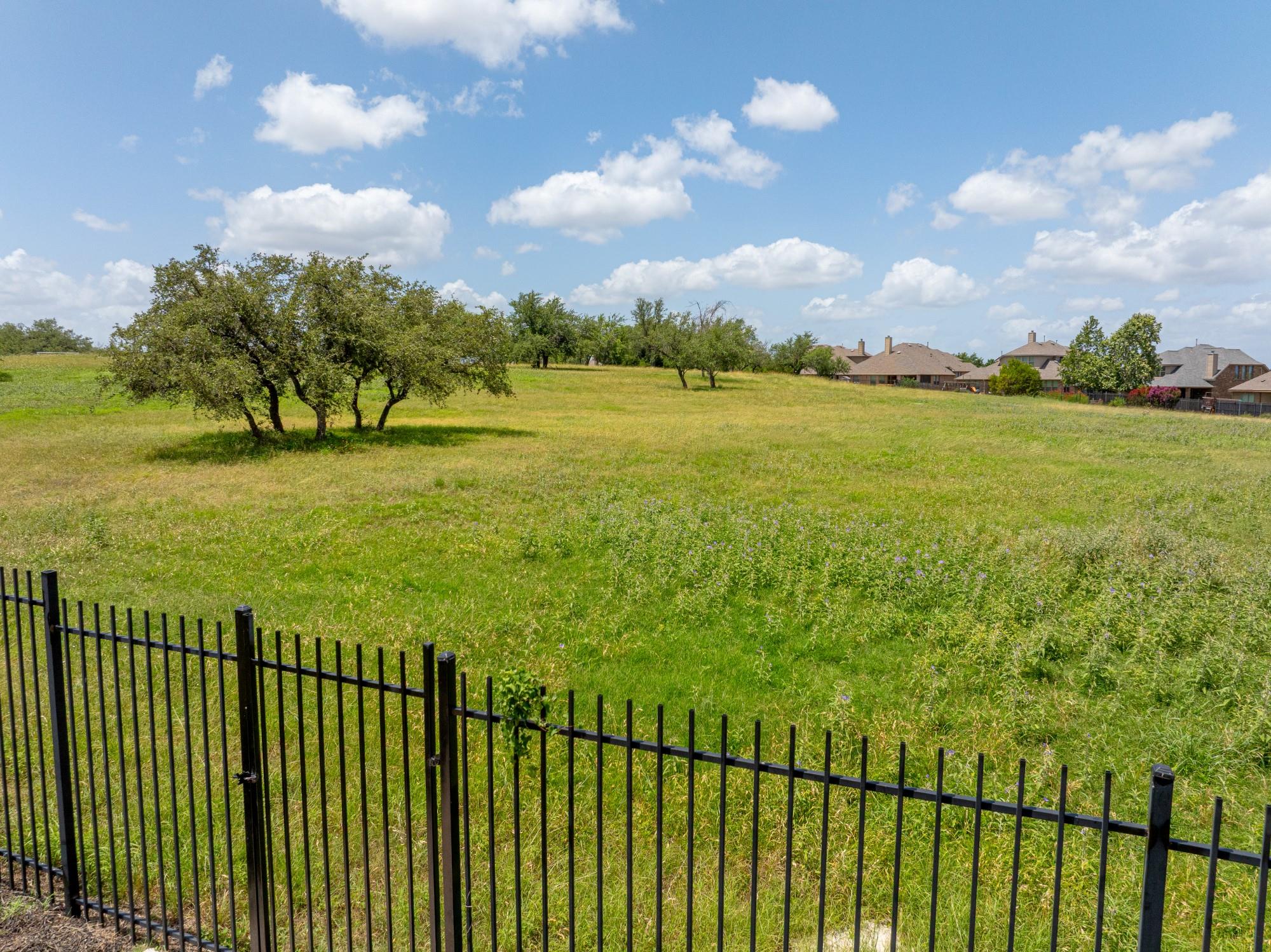 5521 Texas Bluebell DR