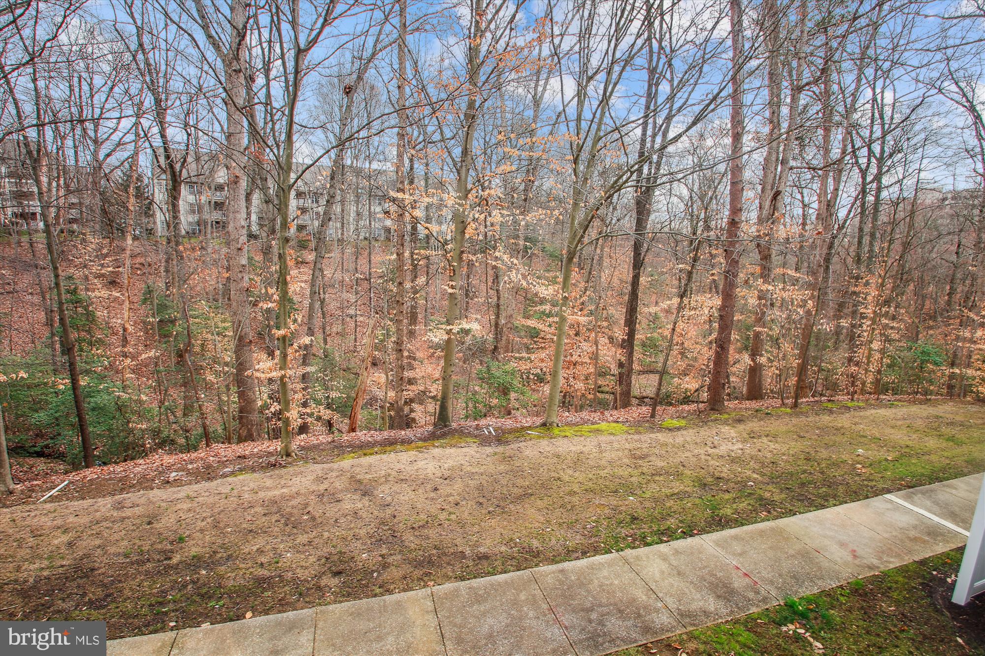 2155 SCOTTS CROSSING COURT 101