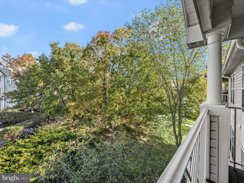 2440 BLUE SPRING COURT Unit: 302