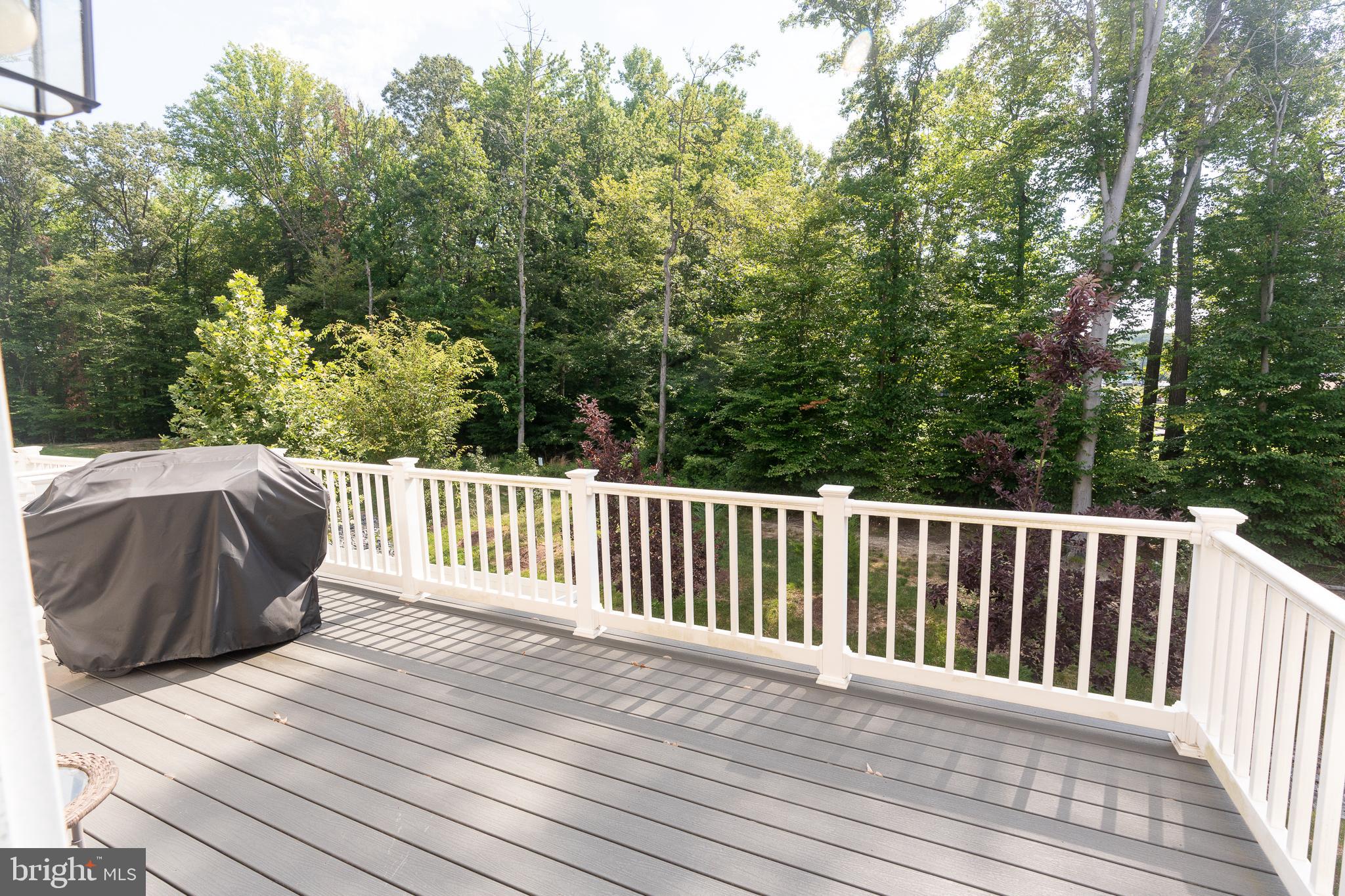 1445 HONEYLOCUST DRIVE