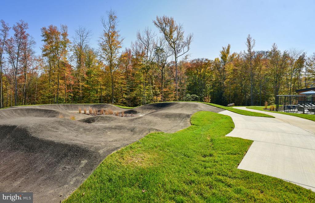 1166 CRESTED WOOD DRIVE