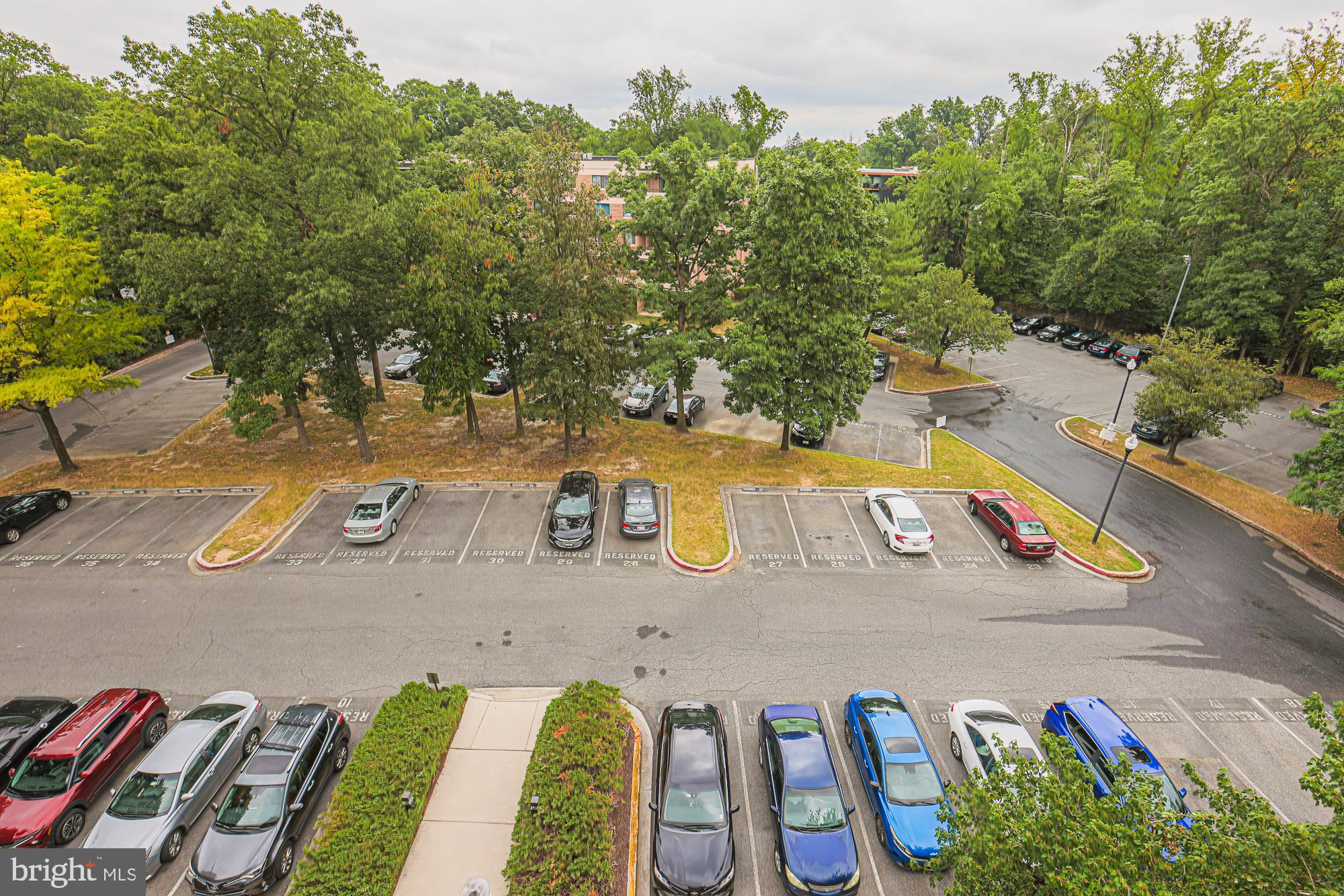 2903 Fall Staff Apt 601 FALLSTAFF ROAD 601