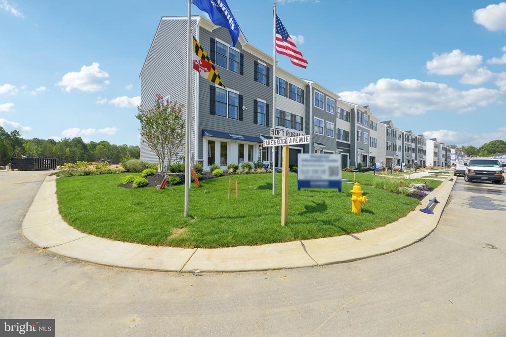 361 SOFT RUSH LANE