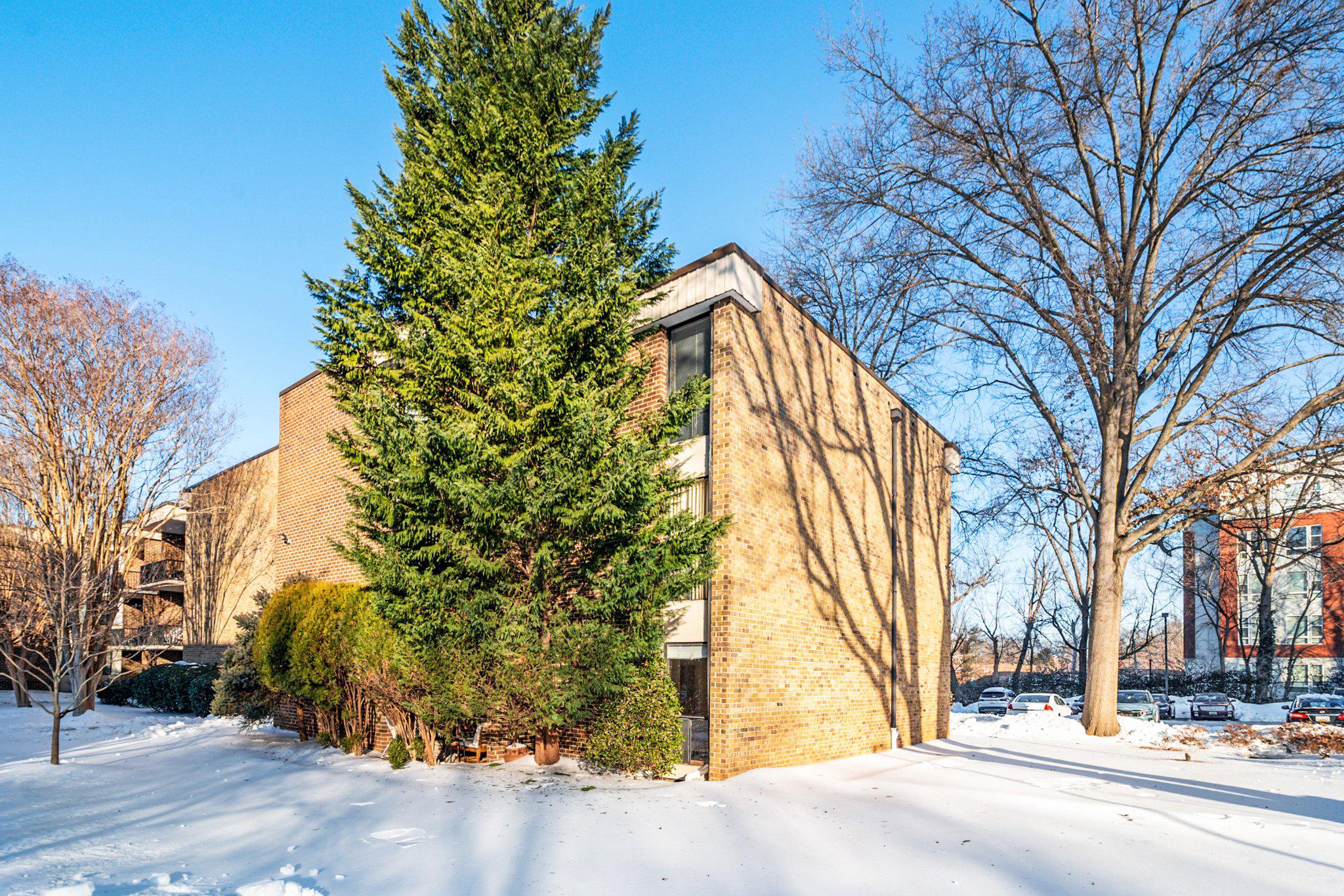 2110 BONNYWOOD LANE 3-102
