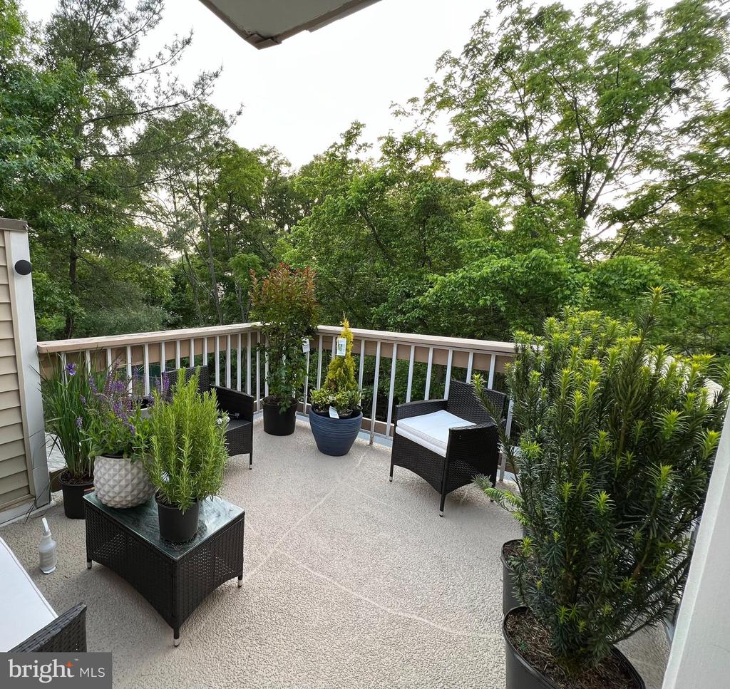 3451 HEWITT AVENUE Unit: 205