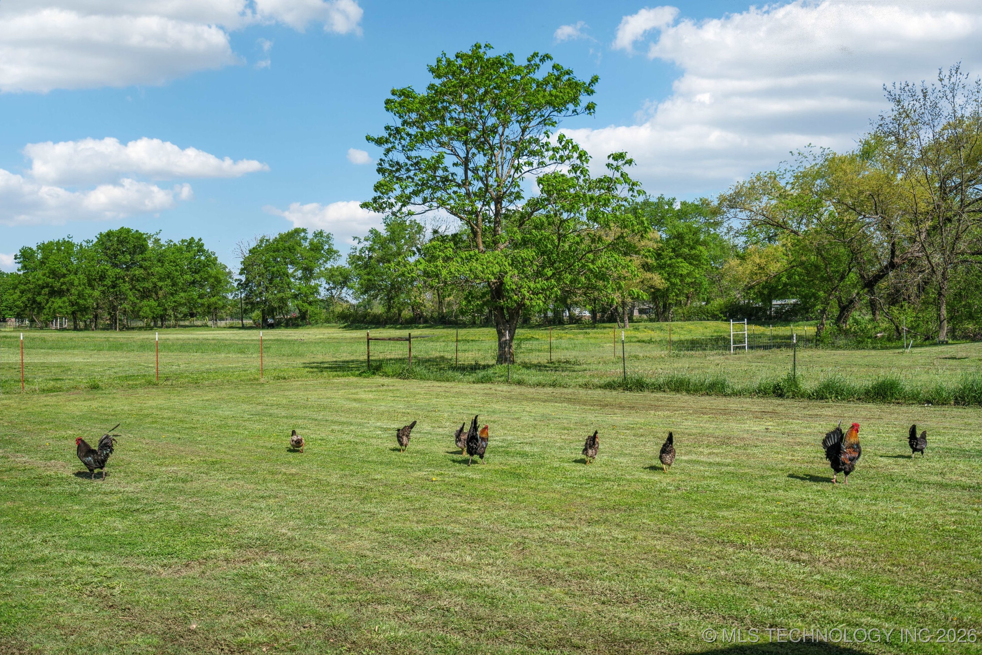 1035 W Haskell Lake Road
