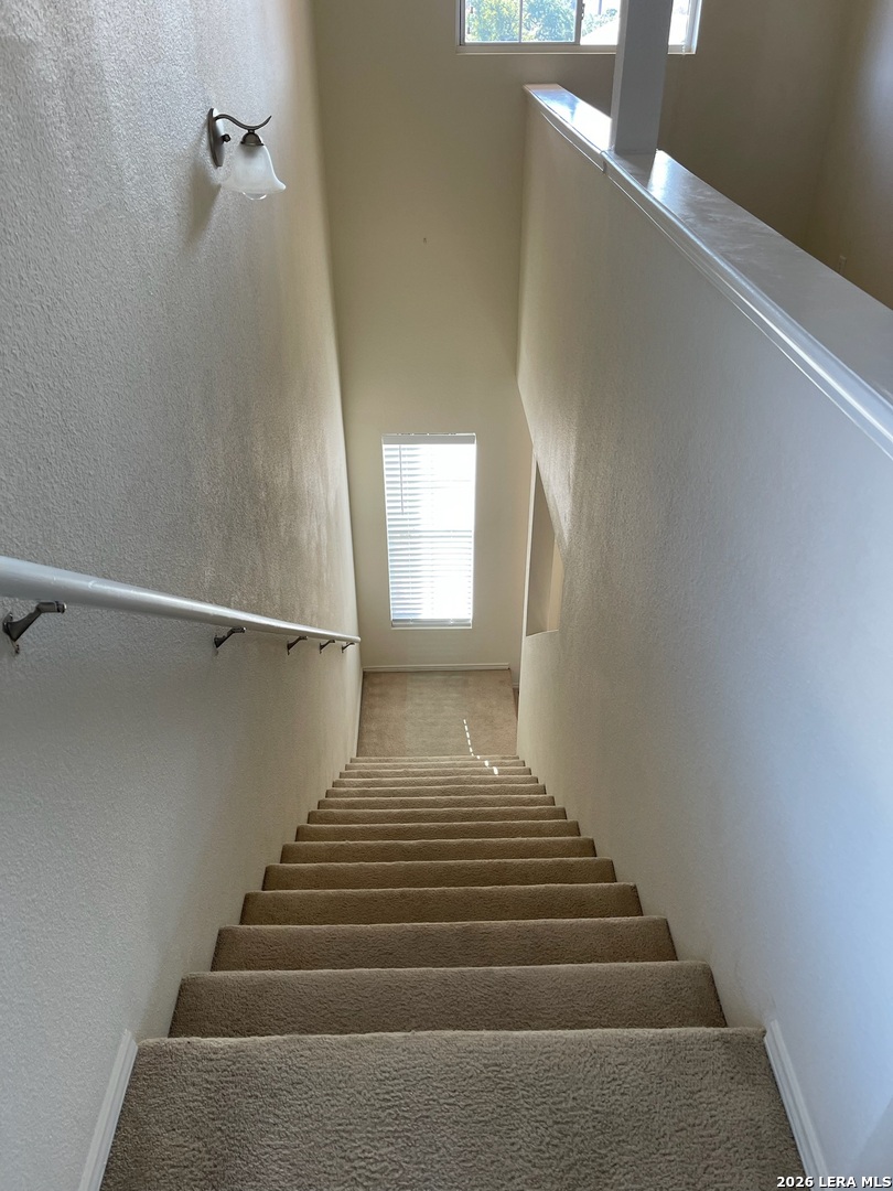 25447 Longbranch Run