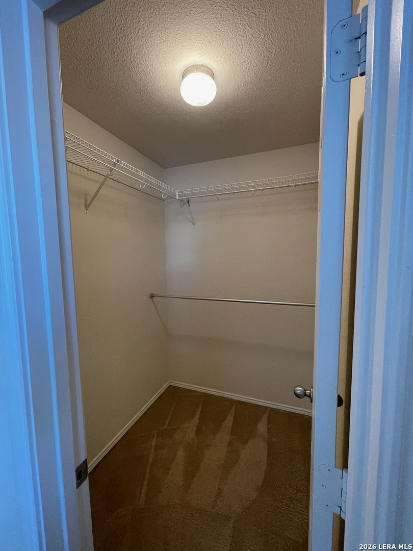 25447 Longbranch Run