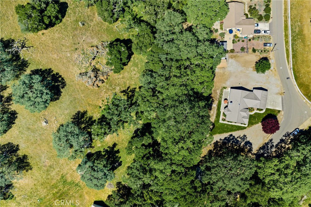 12055 Cenegal Road