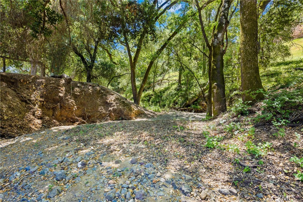 12055 Cenegal Road