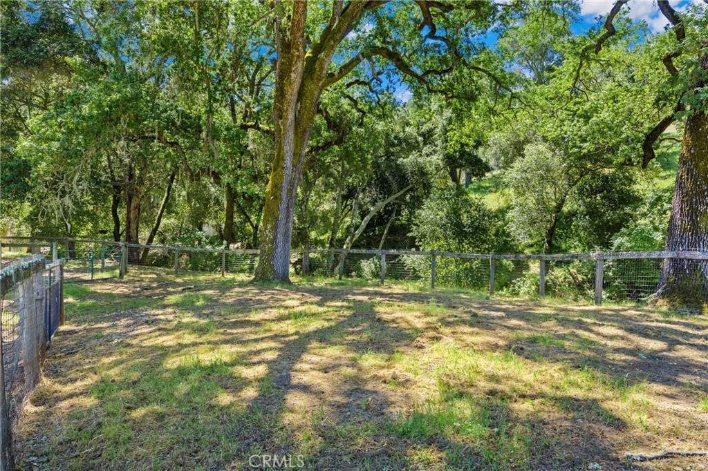 12055 Cenegal Road