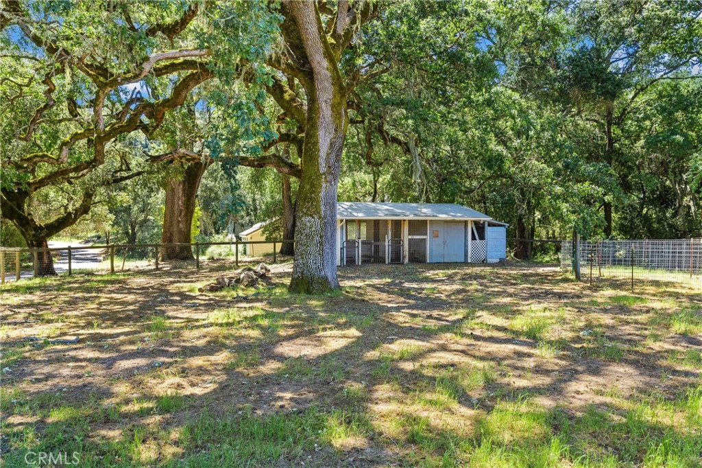 12055 Cenegal Road