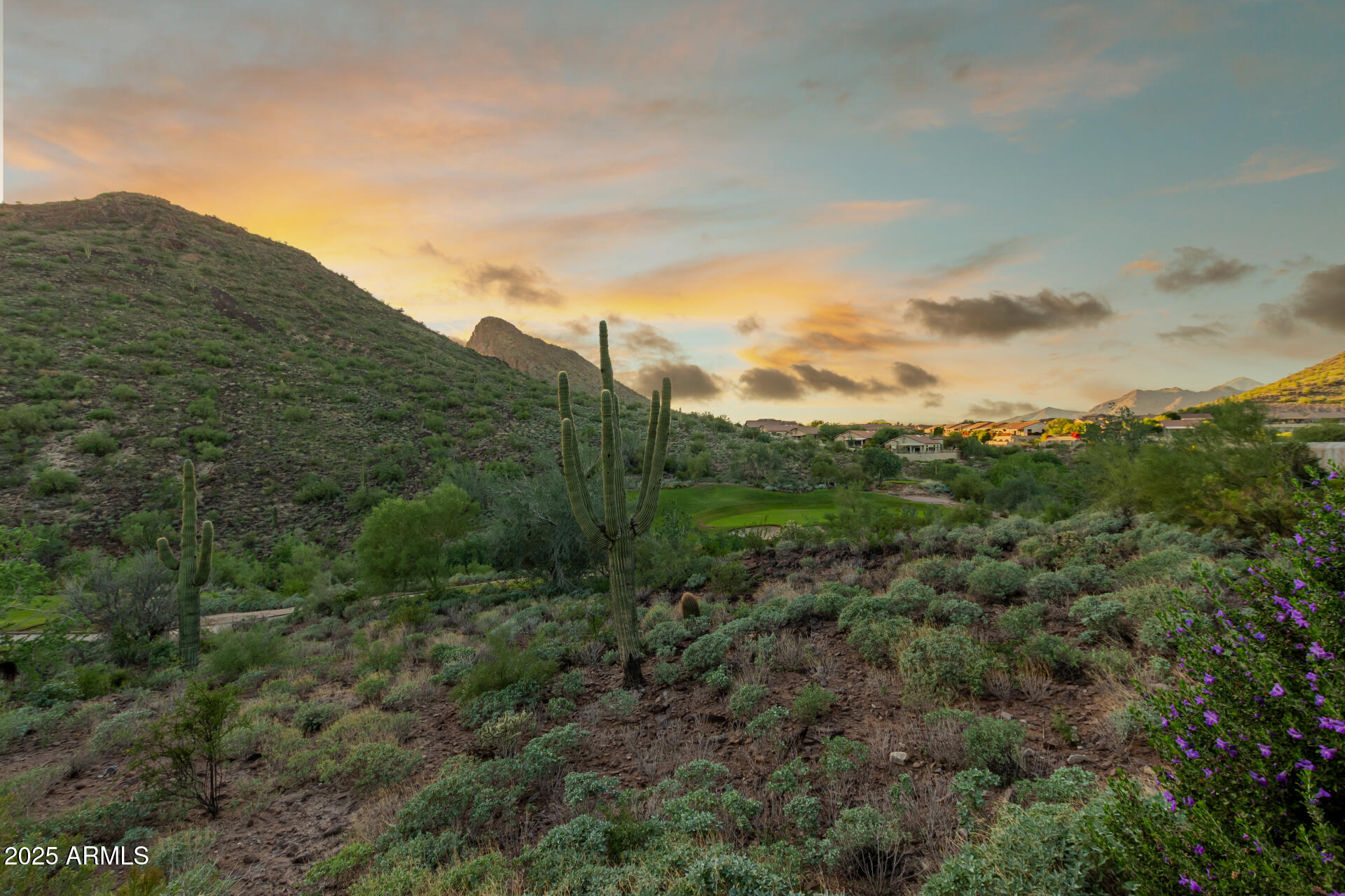 9628 N SOLITUDE Canyon, Fountain Hills
