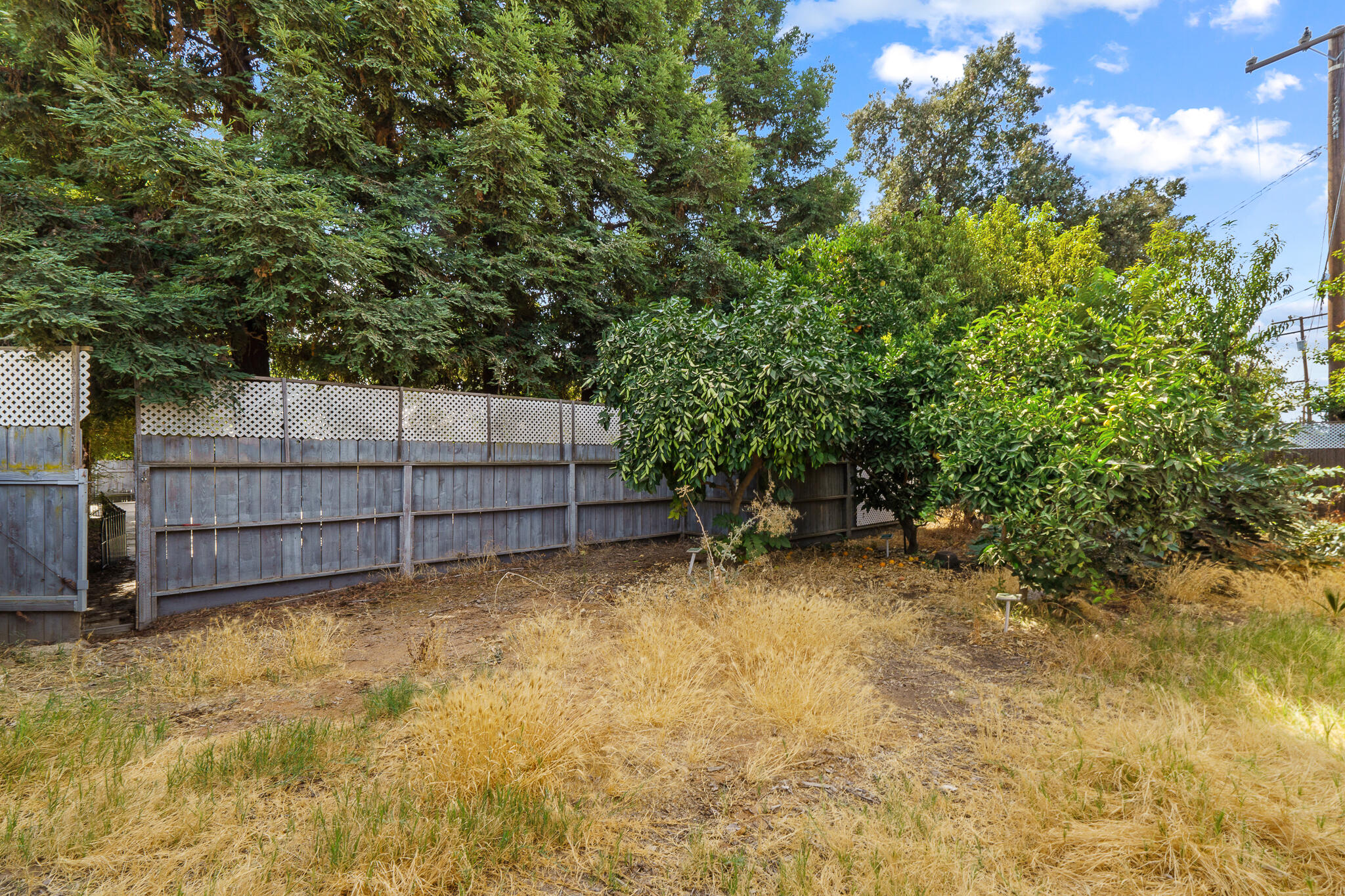 1804 W Sunnyside Avenue