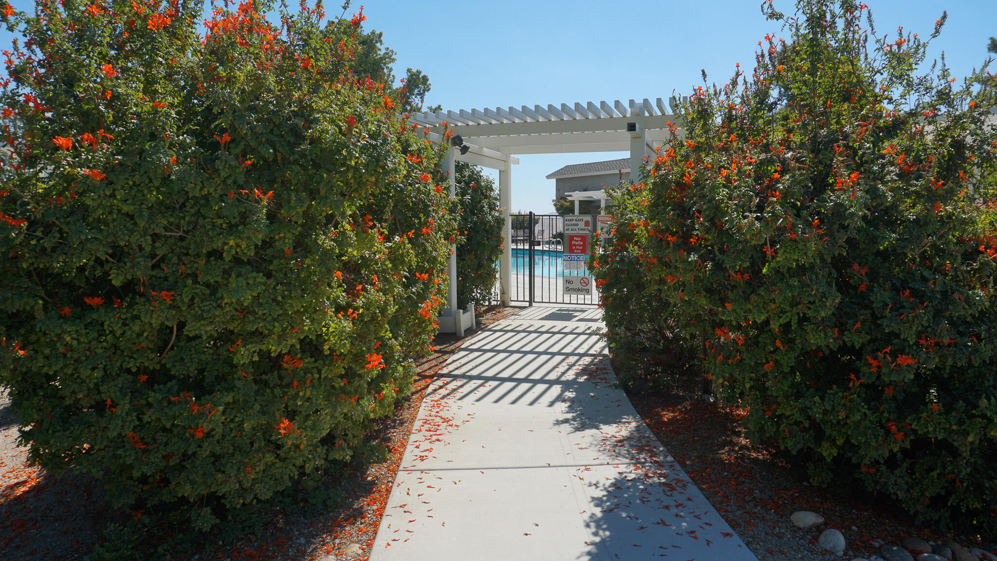 Lot 38 High Sierra Drive