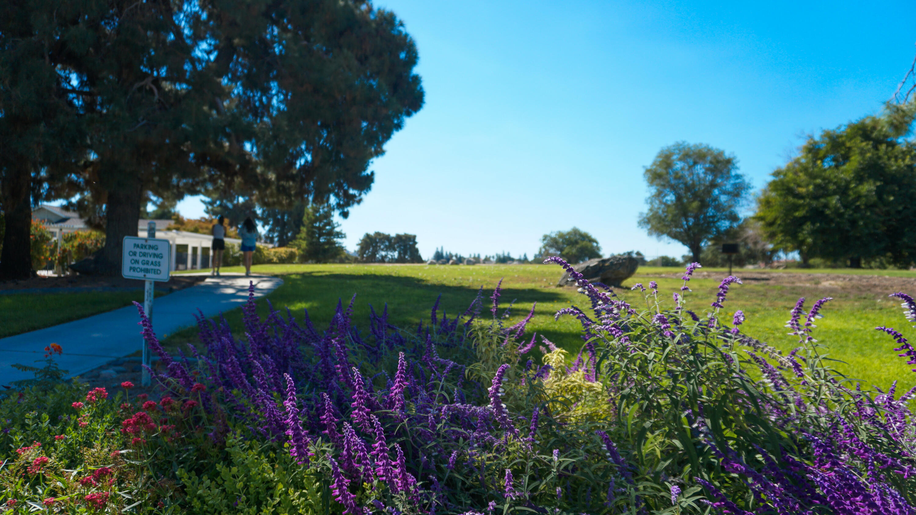 Lot 38 High Sierra Drive