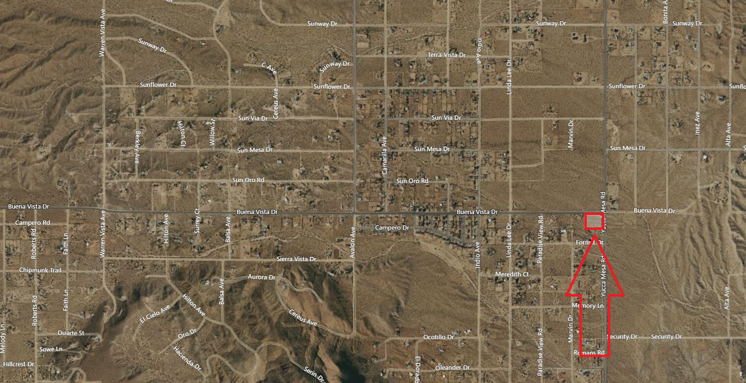 Buena Vista Drive