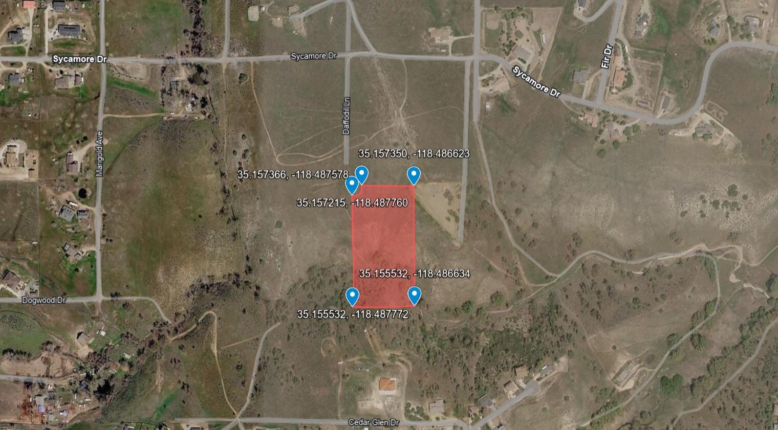 Daffodil Lane
