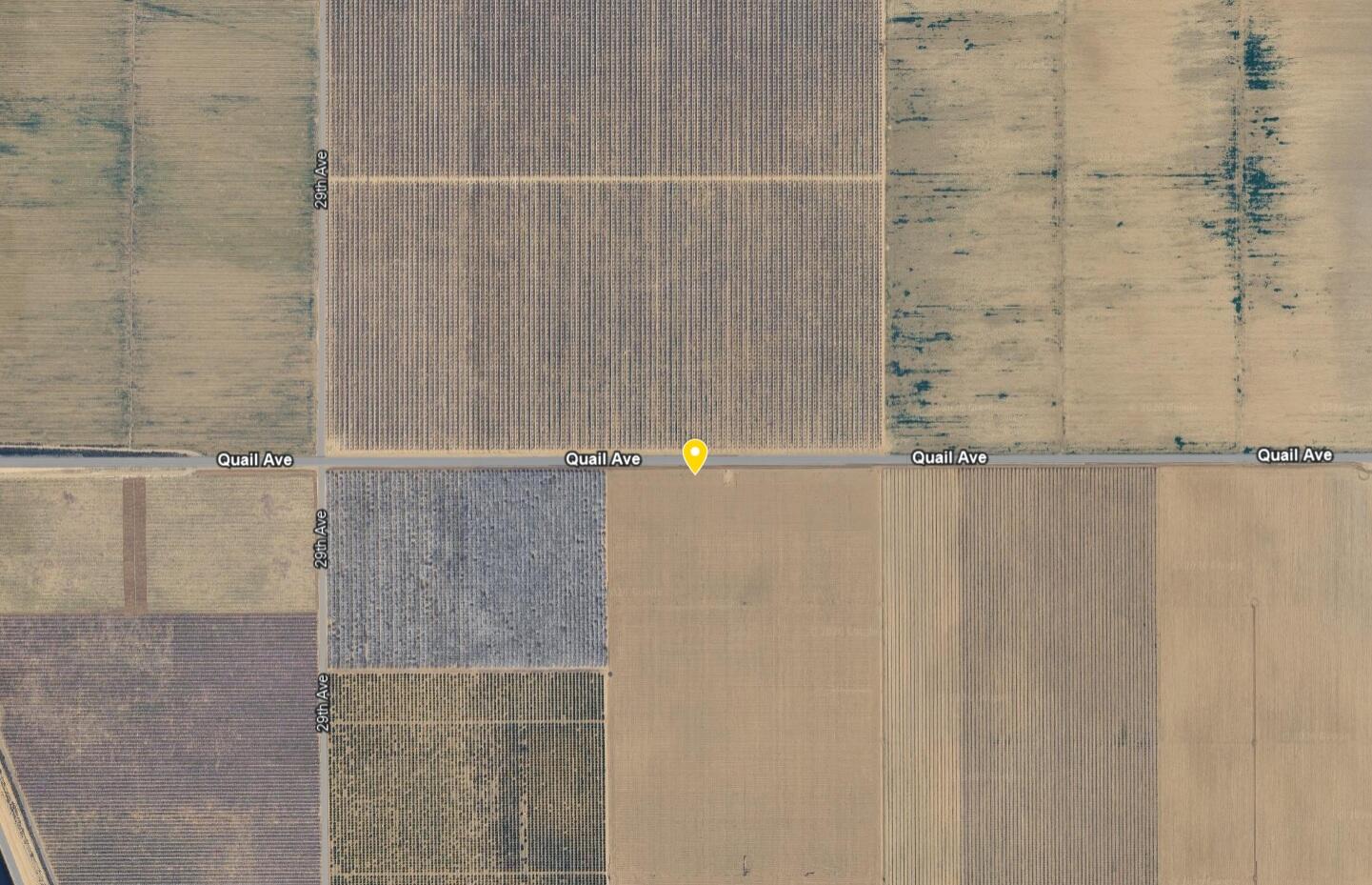 Quail Avenue