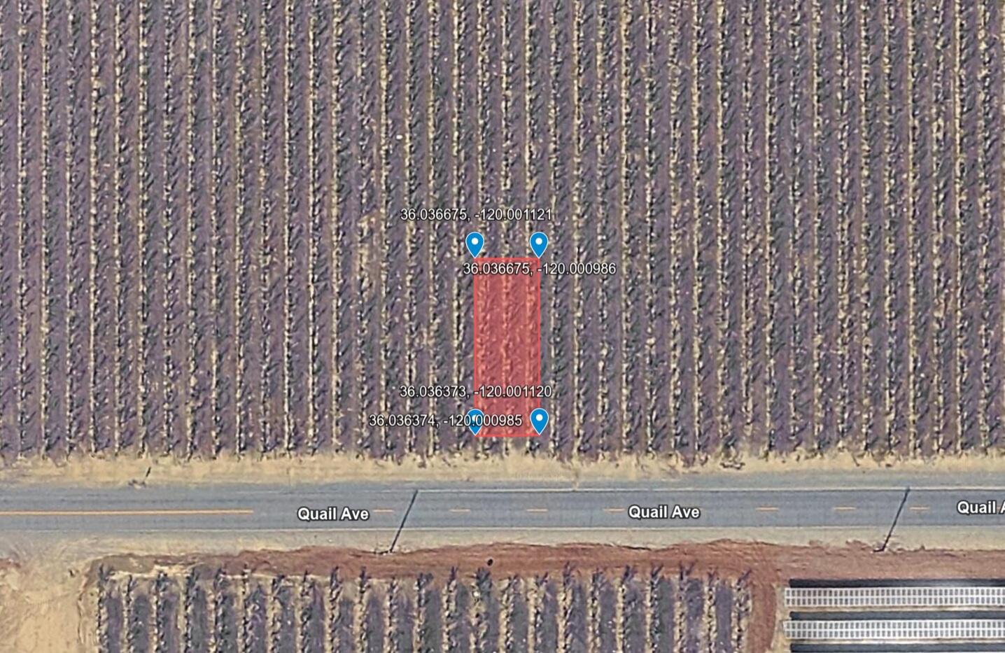 Quail Avenue