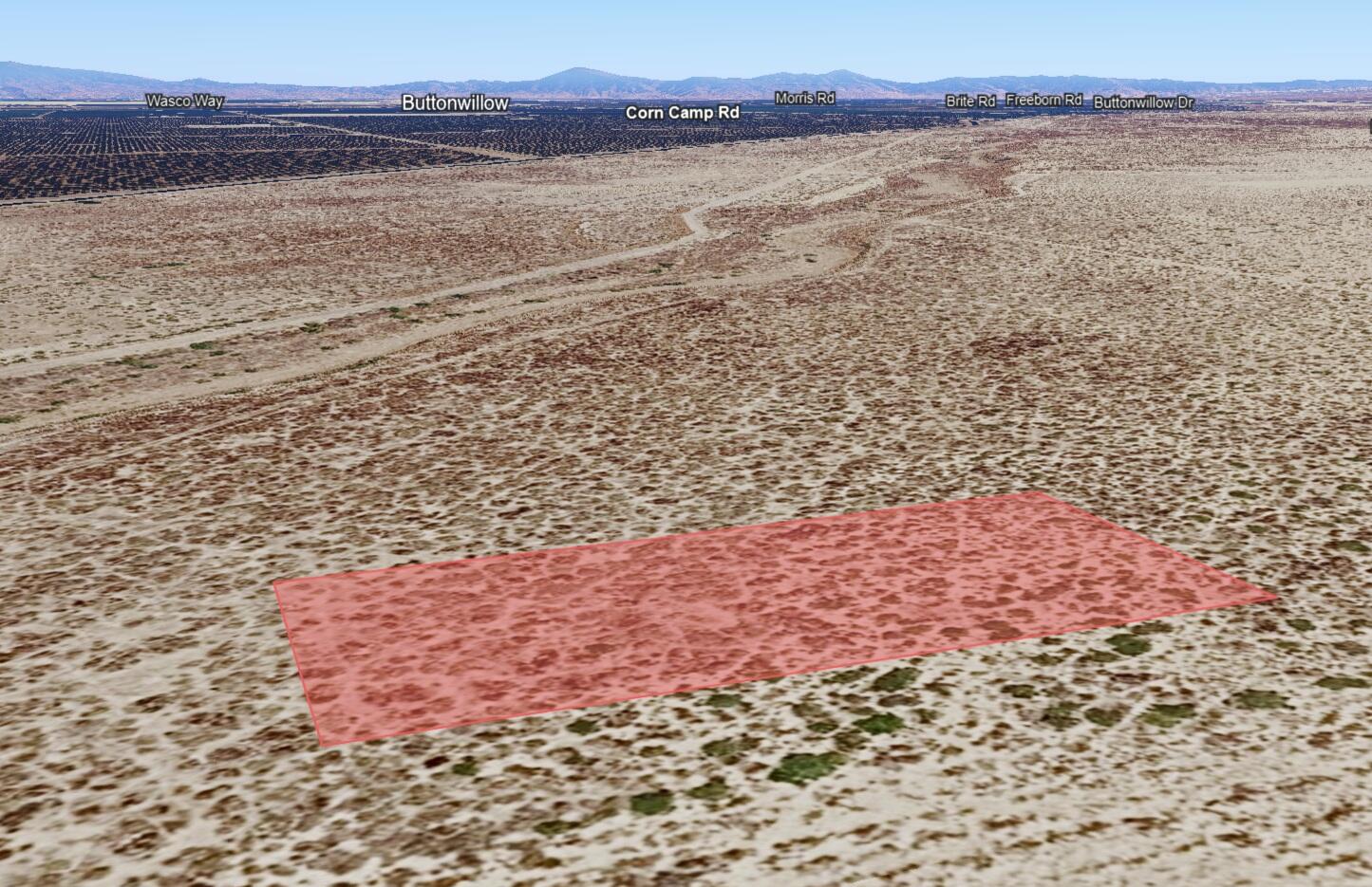 Buttonwillow Drive