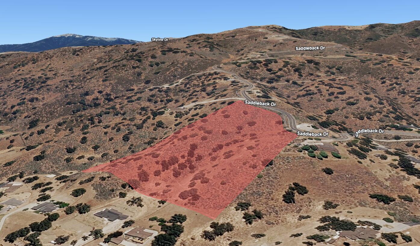 Saddleback Drive