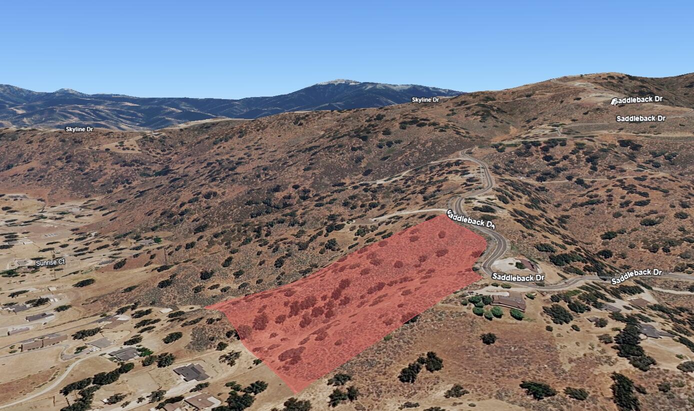 Saddleback Drive