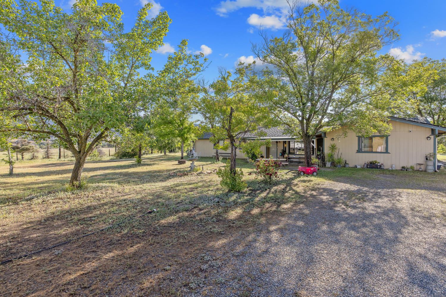 29478 Fallen Oak Road