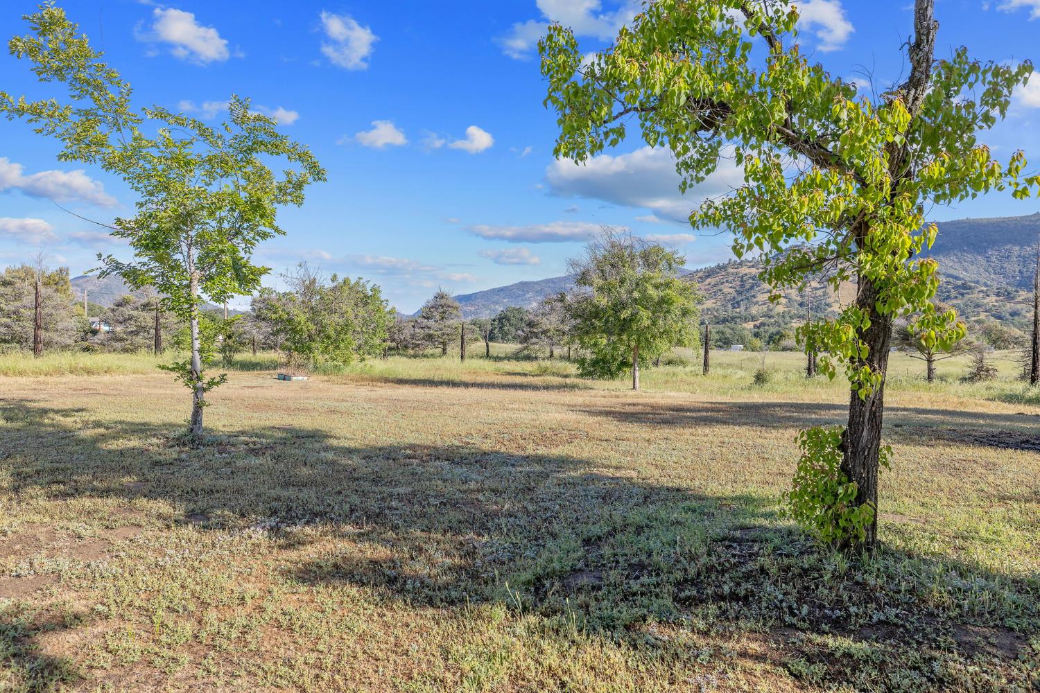 29478 Fallen Oak Road