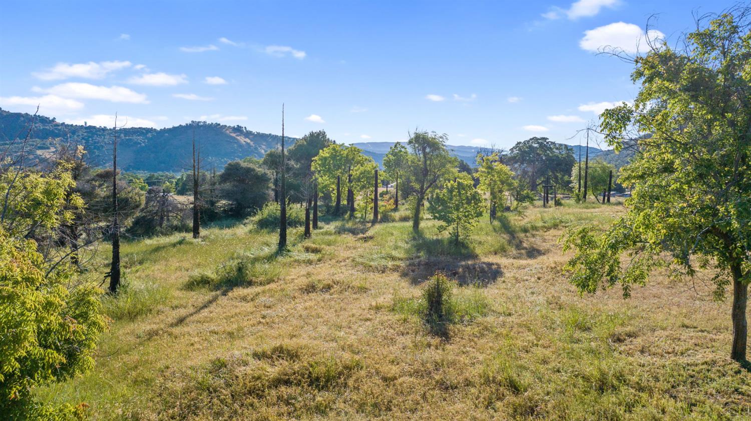 29478 Fallen Oak Road