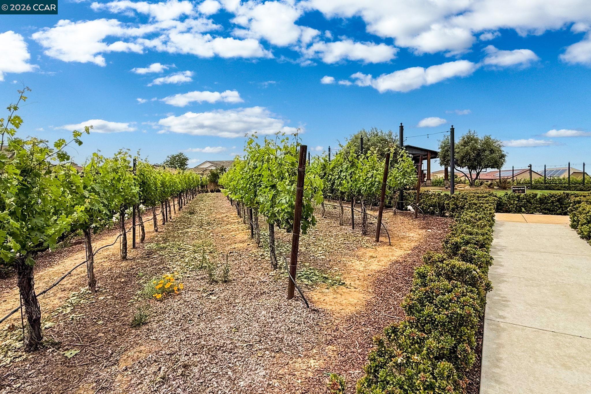 1760 Merlot Circle