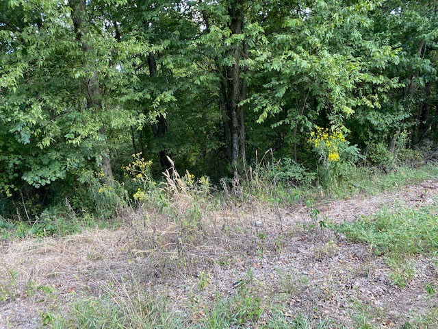 13 Summit Drive 1