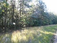 374 County Road 1160