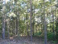 374 County Road 1160