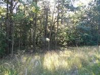 374 County Road 1160