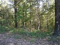 374 County Road 1160