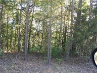 374 County Road 1160