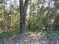 374 County Road 1160