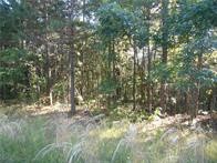 374 County Road 1160
