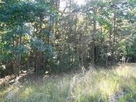 374 County Road 1160