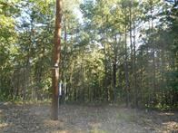 374 County Road 1160