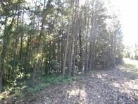 374 County Road 1160