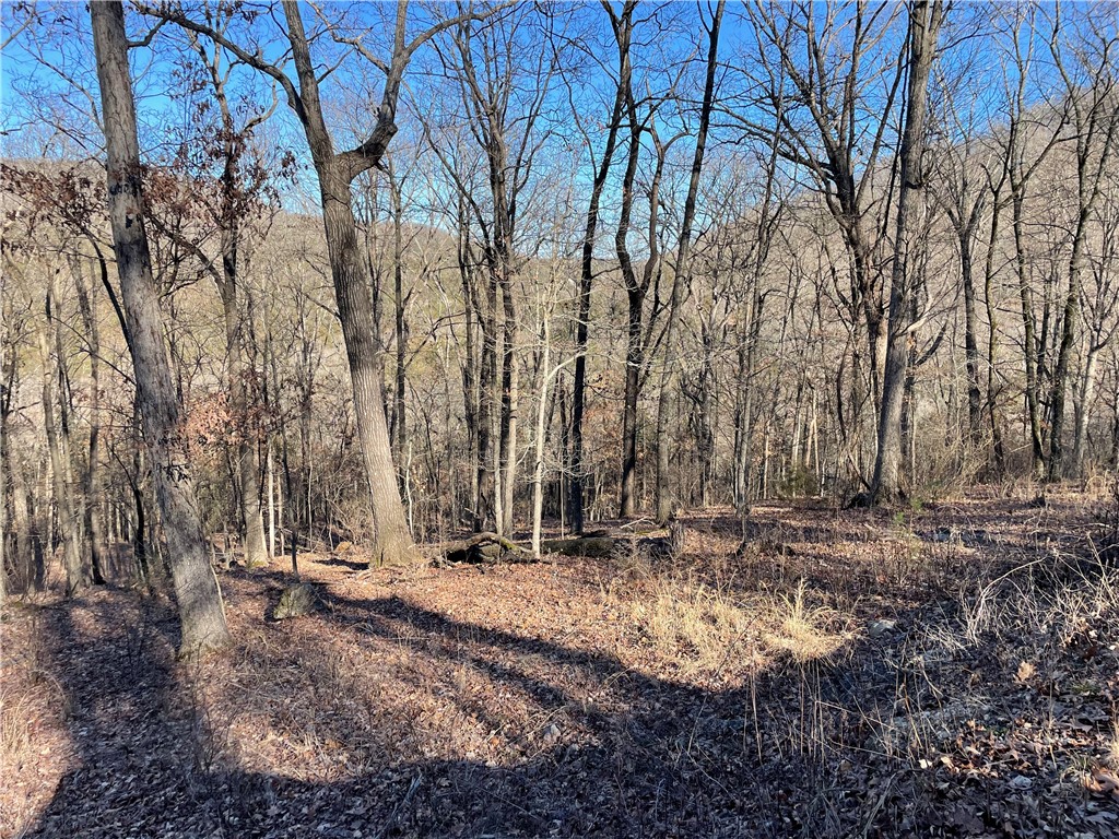 23 Wildcat Lane 11