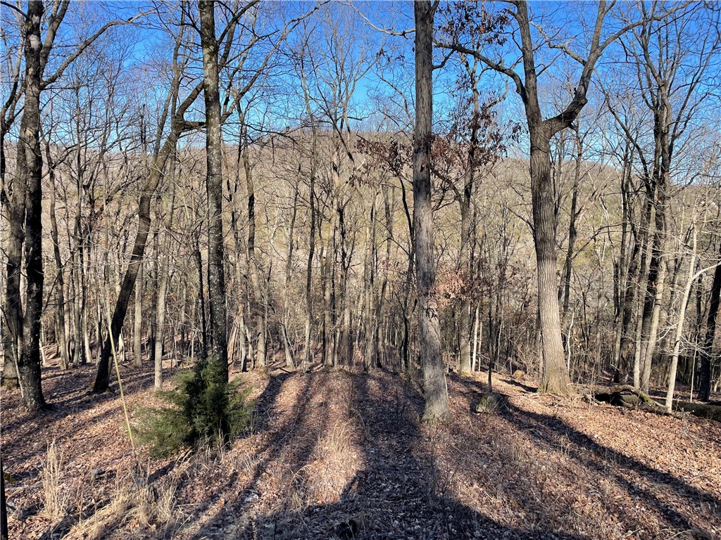 23 Wildcat Lane 11